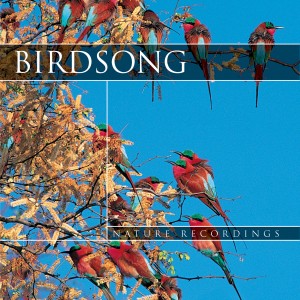 CD BIRD SONG